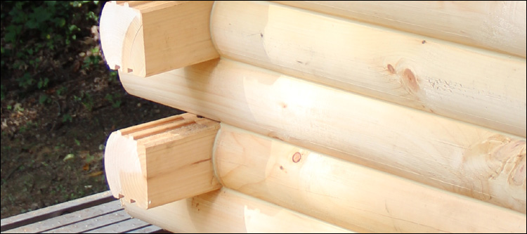 Log Home Damage Repair  Bland, Virginia