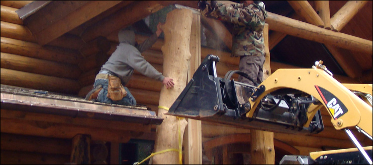 Log Home Log Replacement  Bland County, Virginia