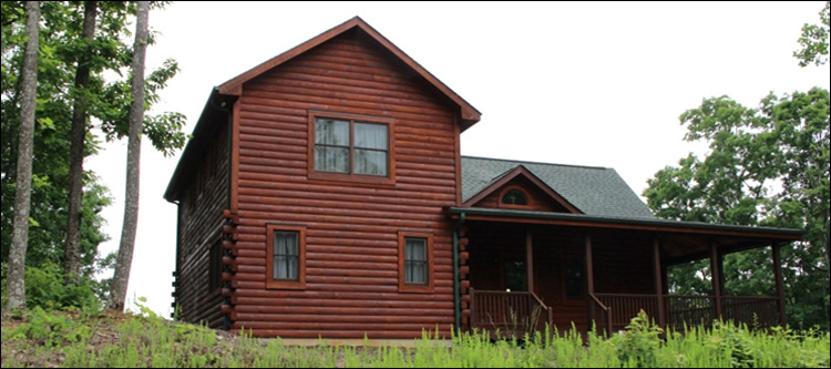 Professional Log Home Borate Application  Bland County, Virginia